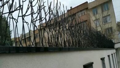 حفاظ شاخ گوزنی در مهرشهر کرج