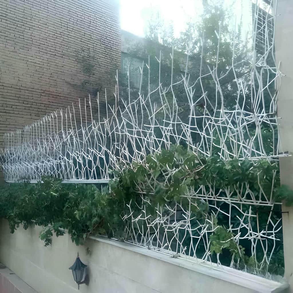خرید حفاظ شاخ گوزنی کنترل جوش در بندر چابهار