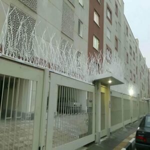 حفاظ شاخ گوزنی در بندر دیلم