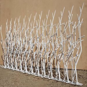 حفاظ شاخ گوزنی در نظرآباد
