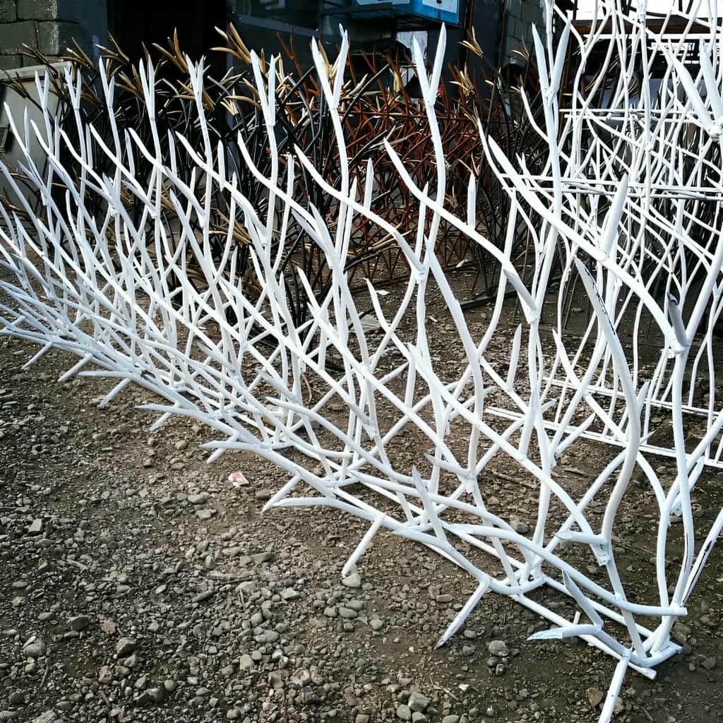 حفاظ شاخ گوزنی در کاشان