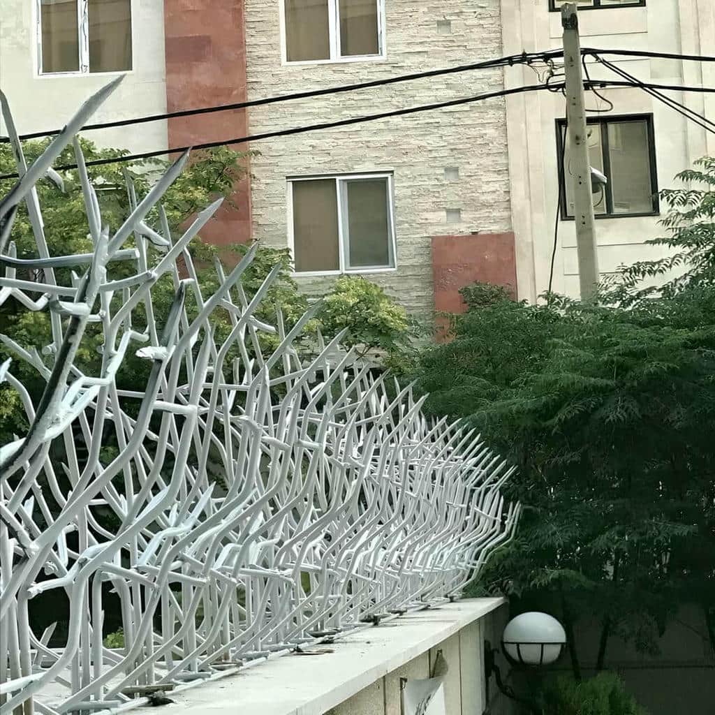 فروش حفاظ شاخ گوزنی رنگ مقاوم در کرمانشاه