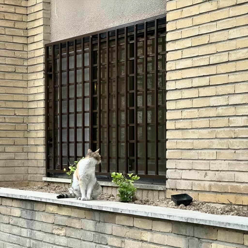 فروش نرده پنجره آهنی بازشو در بوشهر