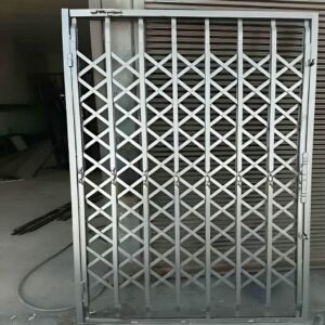 حفاظ آکاردئونی در سبزوار