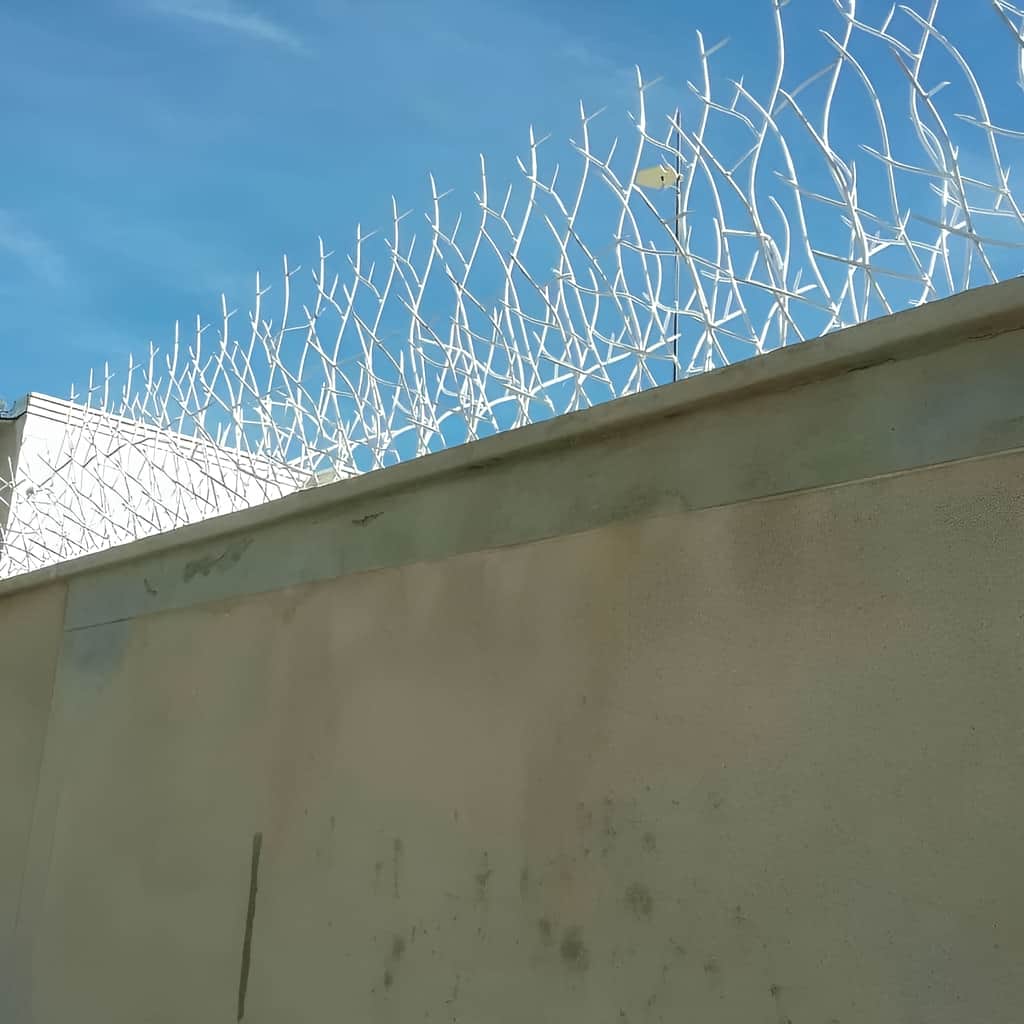 حفاظ شاخ گوزنی خاردار با جوشکاری دقیق در نقاط