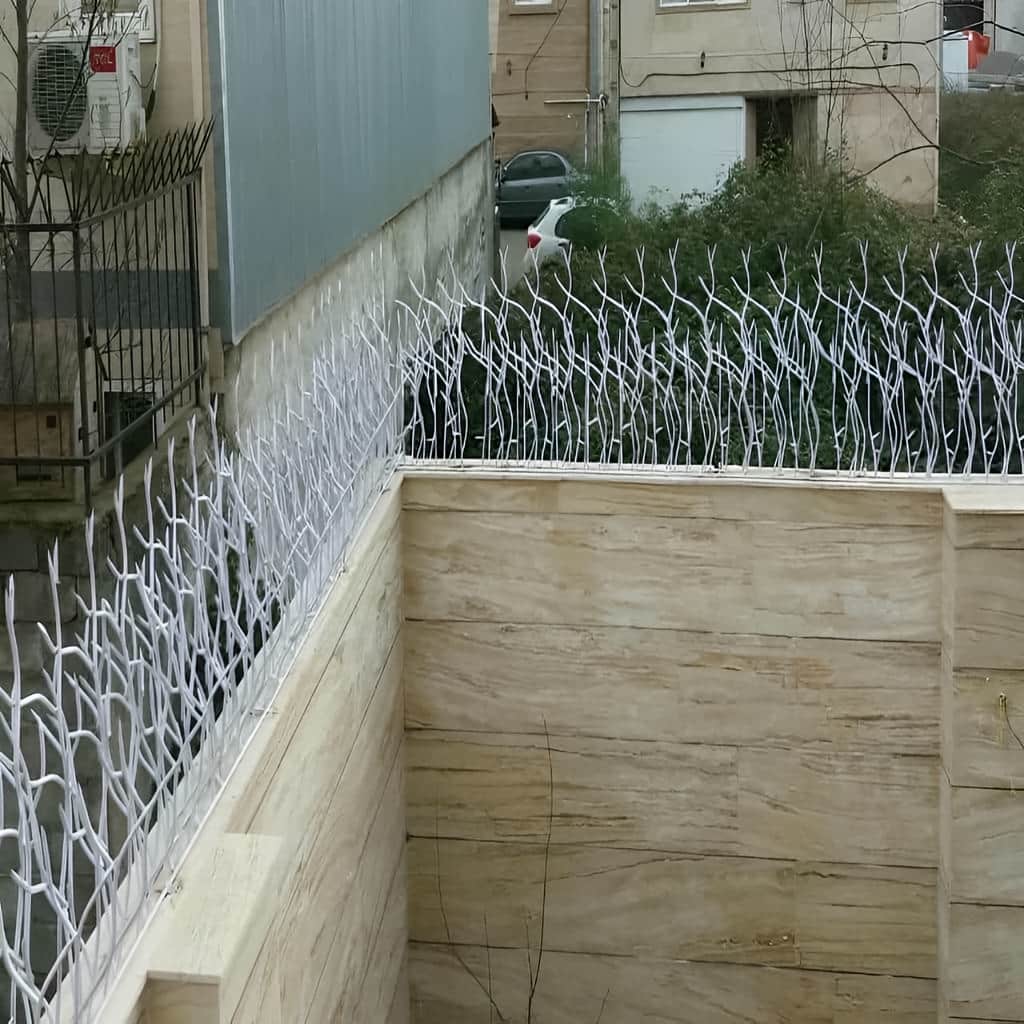 حفاظ شاخ گوزنی خاردار با نصب اصولی روی تاج دیوار