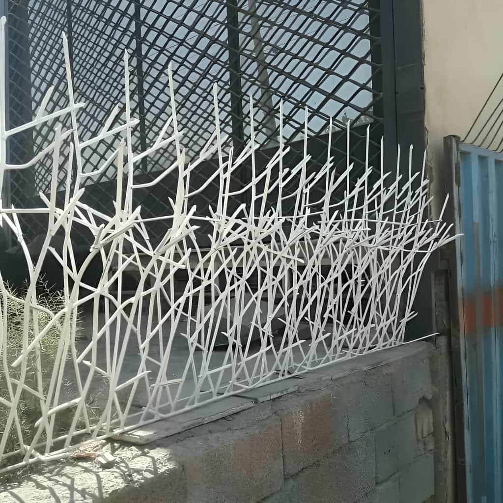 حفاظ شاخ گوزنی با متریال مناسب برای دوام بیشتر