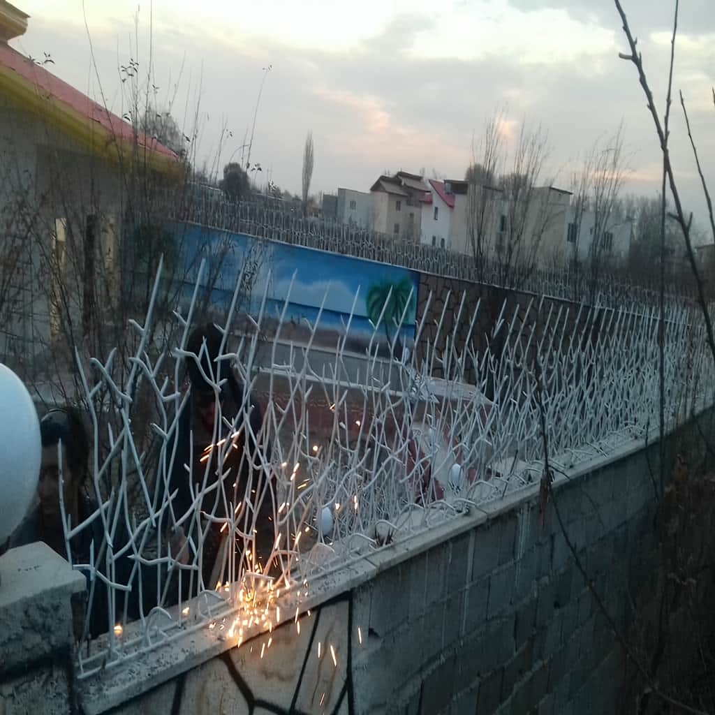 حفاظ شاخ گوزنی با ارتفاع هماهنگ با دیوار ویلا