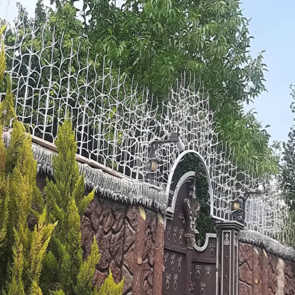 حفاظ شاخ گوزنی خاردار با نوک های منظم روی دیوار