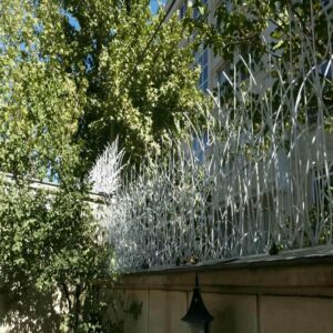 حفاظ شاخ گوزنی برای کدام دیوارها مناسب است