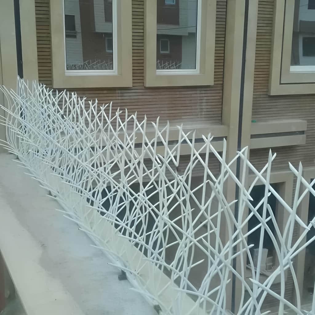 مدل نامتقارن حفاظ نیزار با ظاهر طبیعی
