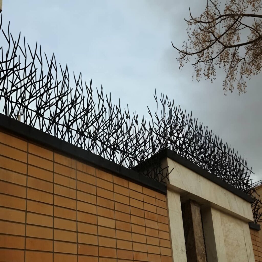 نمونه متقاطع حفاظ شاخ گوزنی پرتراکم نمونه متقاطع حفاظ شاخ گوزنی پرتراکم