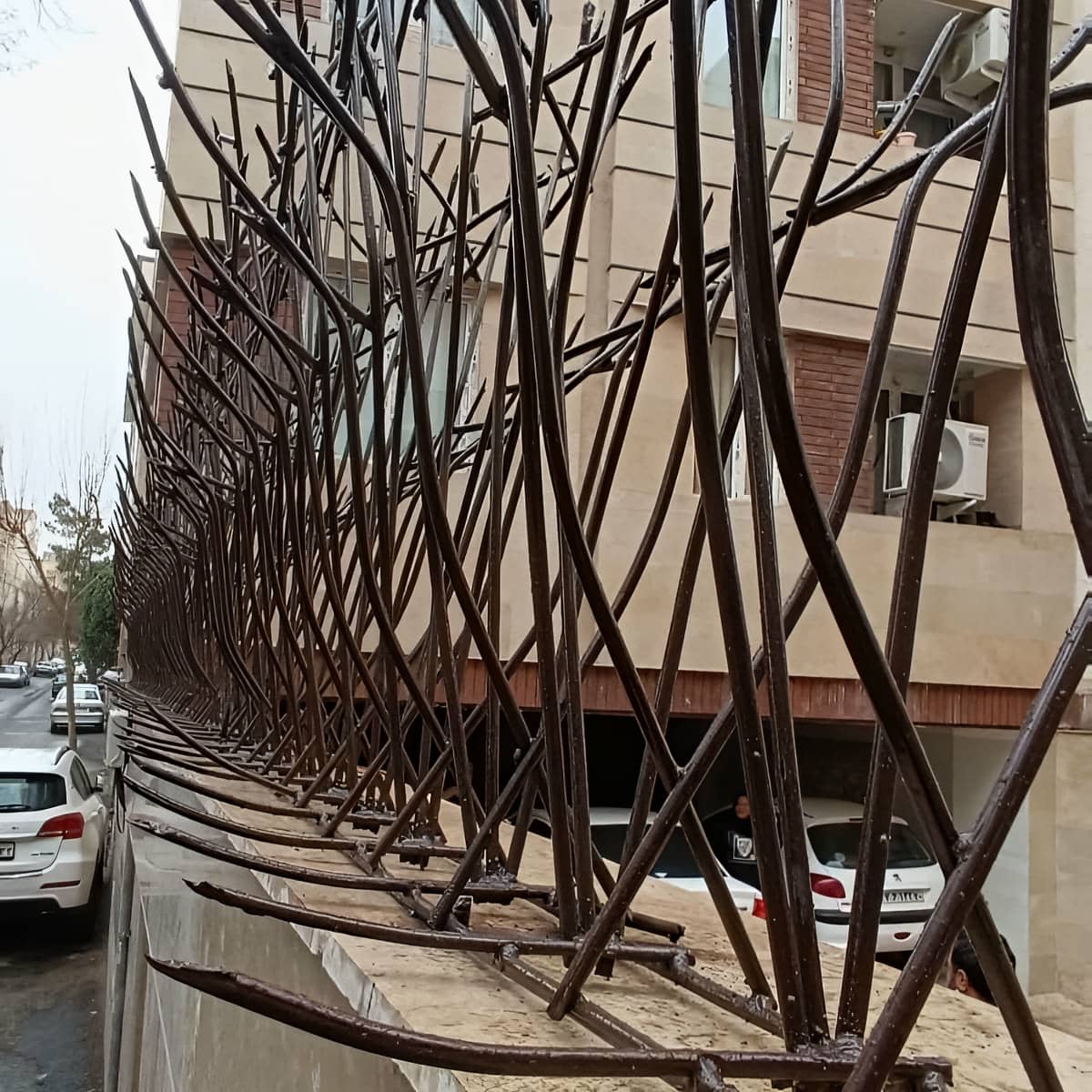 مشخصات قیمت حفاظ شاخ گوزنی