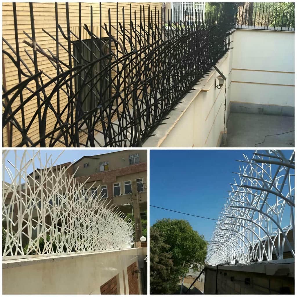 نمونه شاخه‌بلند حفاظ شاخ گوزنی پرتراکم