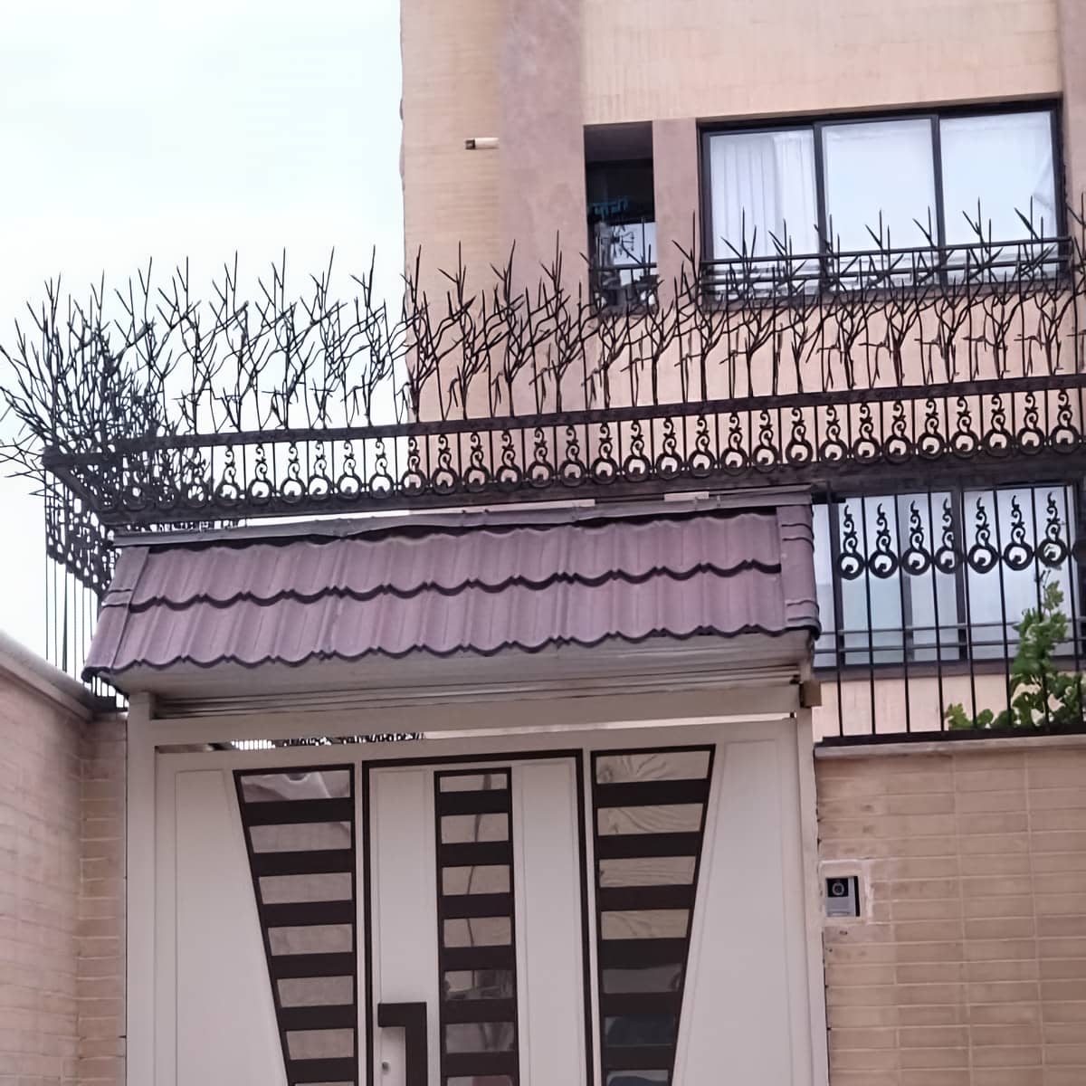 وزن استاندارد حفاظ شاخ گوزنی