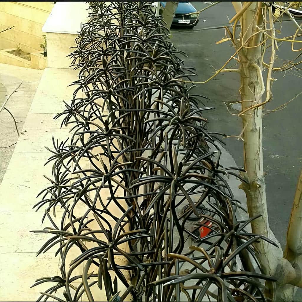 نکاتی برای انتخاب بهترین حفاظ دیوار