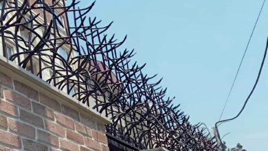 12 مدل حفاظ آبشاری روی دیوار سنگی
