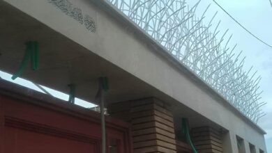 10 مدل حفاظ بوته ای دیوار پرتراکم