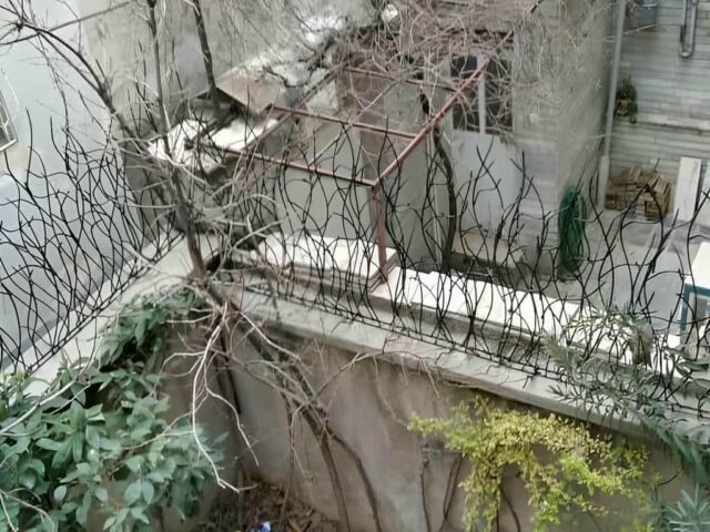 حفاظ دیوار شاخ گوزنی مشکی روی دیوار طویل رشت مرکز فروش و سفارش حفاظ دیوار در رشت و حومه
