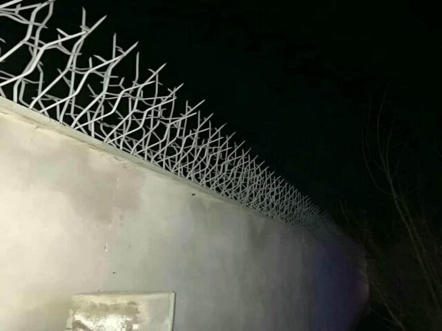 حفاظ دیوار شاخ گوزنی مشکی کنار حیاط شهرکرد مرکز تخصصی فروش حفاظ دیوار در شهرکرد و حومه